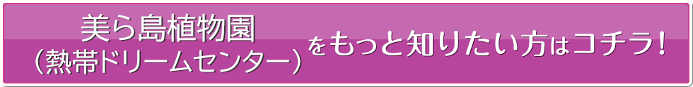 熱帯ドリームセンターをもっと知りたい方はコチラ!