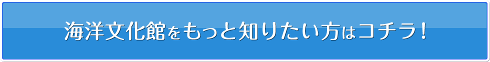 海洋文化館をもっと知りたい方はコチラ!