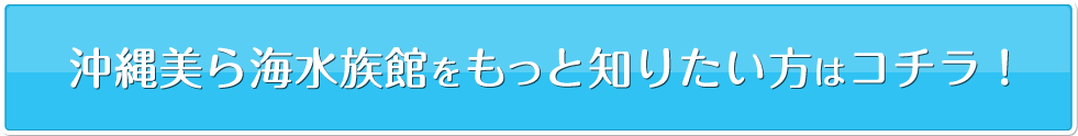沖縄美ら海水族館をもっと知りたい方はコチラ!