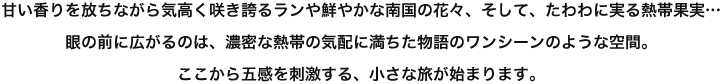 甘い香りを放ちながら気高く咲き誇るランや鮮やかな南国の花々、そして、たわわに実る熱帯果実・・・眼の前に広がるのは、濃密な熱帯の気配に満ちた物語のワンシーンのような空間。<br>ここから五感を刺激する。小さな旅が始まります。