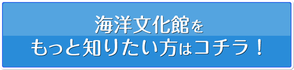 海洋文化館をもっと知りたい方はコチラ!