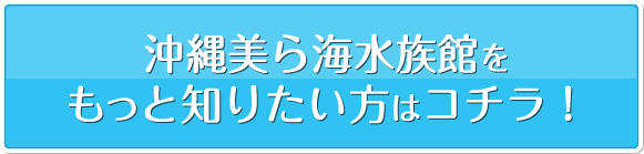 沖縄美ら海水族館をもっと知りたい方はコチラ!
