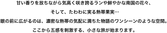 甘い香りを放ちながら気高く咲き誇るランや鮮やかな南国の花々、そして、たわわに実る熱帯果実・・・眼の前に広がるのは、濃密な熱帯の気配に満ちた物語のワンシーンのような空間。<br>ここから五感を刺激する。小さな旅が始まります。