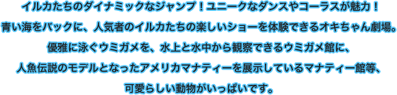 イルカたちのダイナミックなジャンプ！ユニークなダンスやコーラスが魅力！青い海をバックに、人気者のイルカたちの楽しいショーを体験できるオキちゃん劇場。優雅に泳ぐウミガメを、水上と水中から観察できるウミガメ館に、人魚伝説のモデルとなったアメリカマナティーを展示しているマナティー館等、可愛らしい動物がいっぱいです。