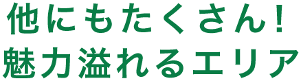 他にもたくさん！魅力溢れるエリア
