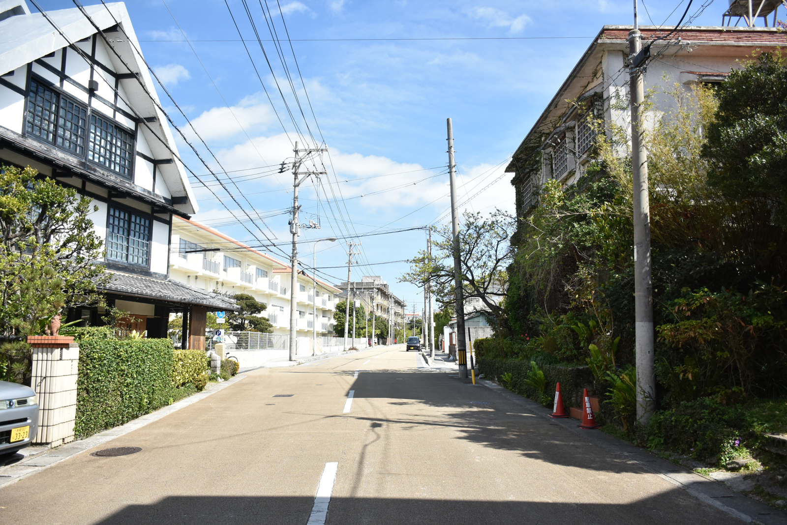 2021年の写真