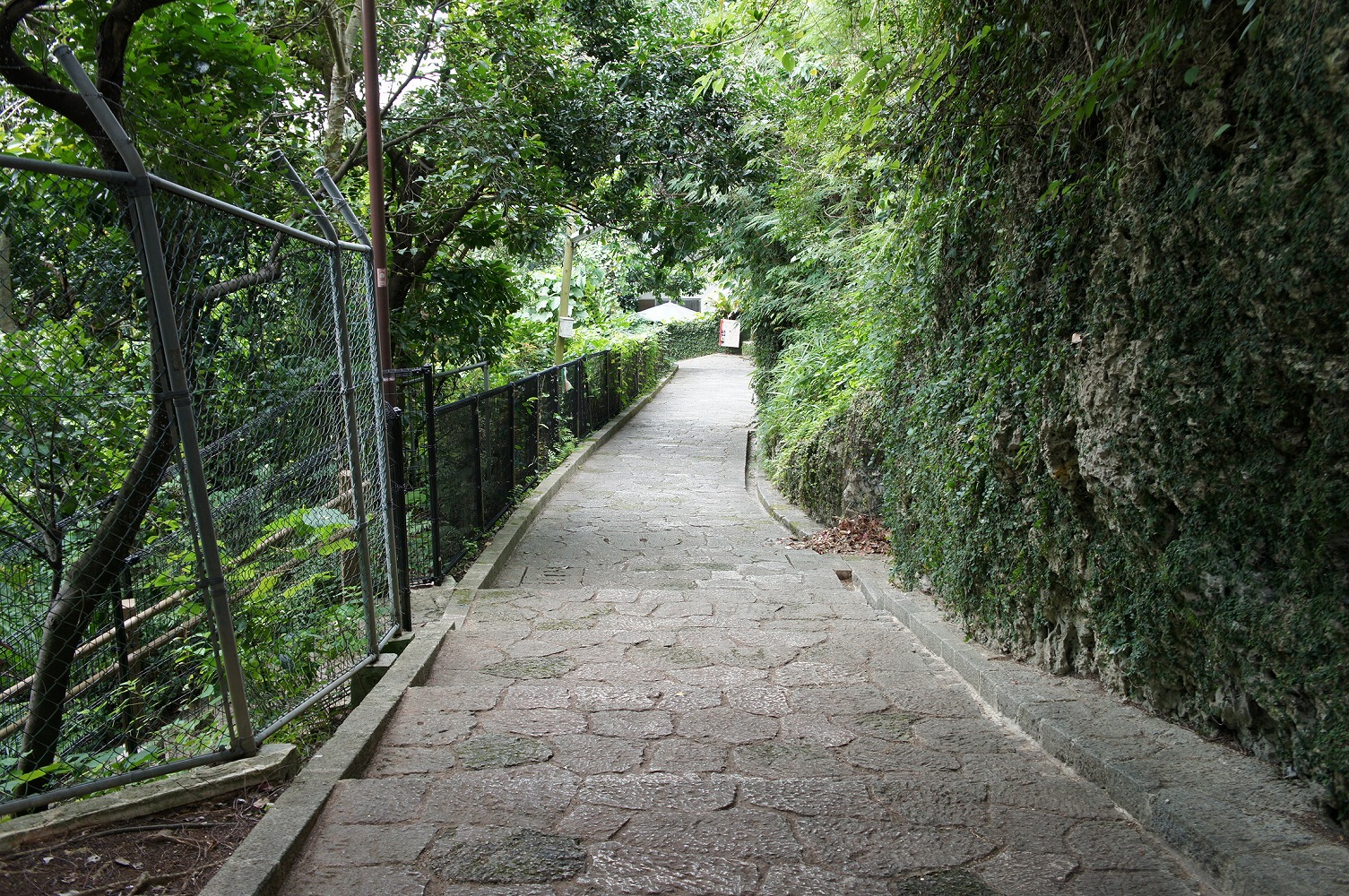 島添坂