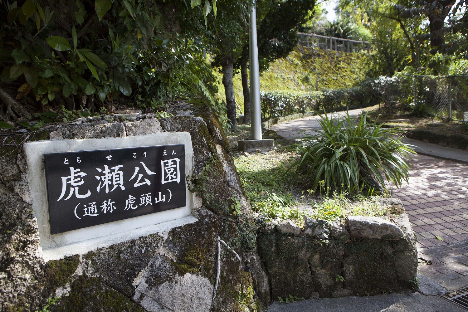 虎瀬（頭）山跡