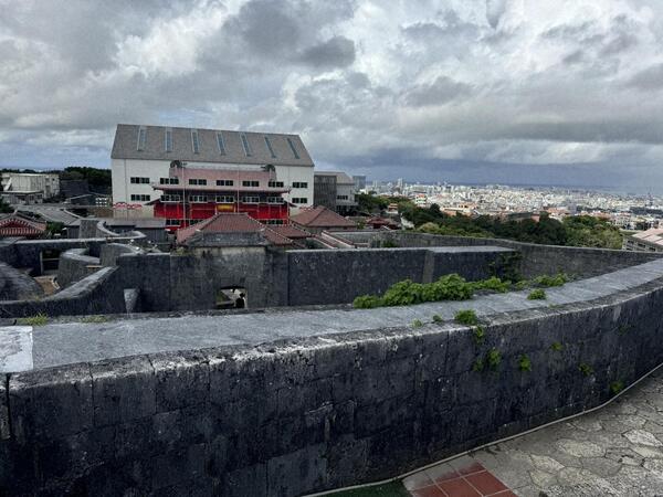 東のアザナより素屋根解体過程 