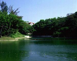 首里城全景|世持橋付近から首里城を望むのメイン画像