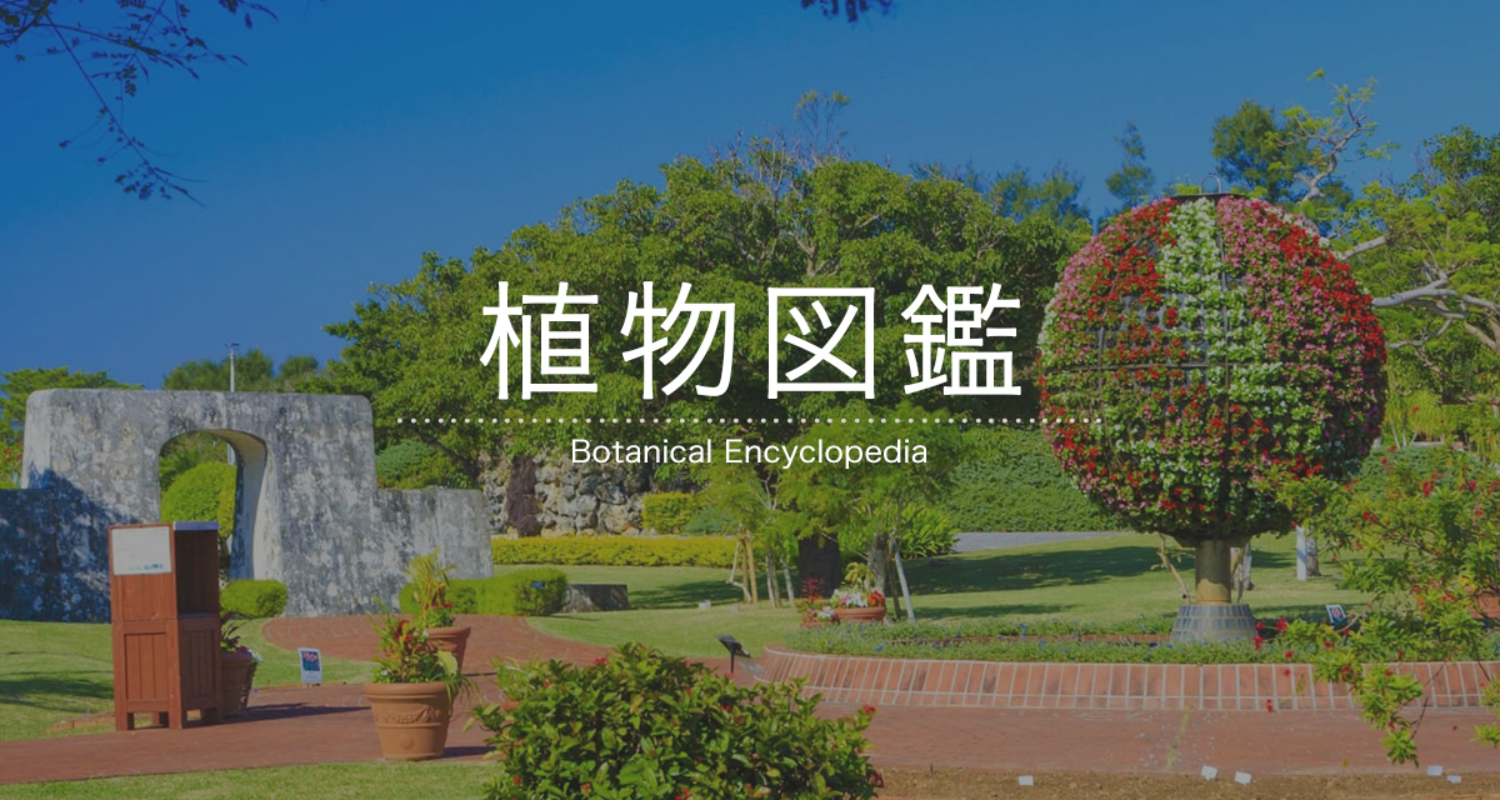 植物図鑑