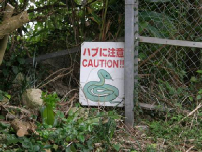 ハブに注意