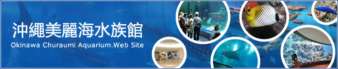 沖繩美麗海水族館