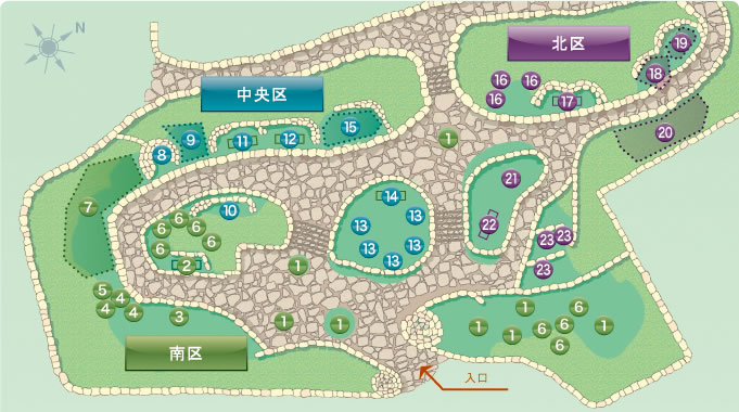 植物园探险的图示地图