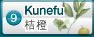 沙柑