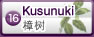 樟树