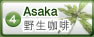 九节木