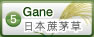 芒草