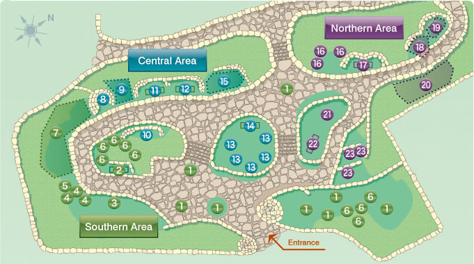Illustrated map of the exploration of the Botanical Garden