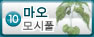 마오