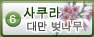 사쿠라