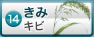 きみ