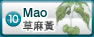 沙柑