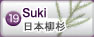 杉木