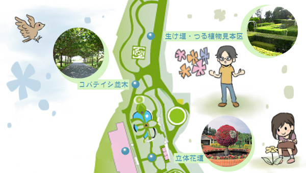 生け垣・つる植物見本区コースマップ