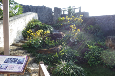 奥書院庭園