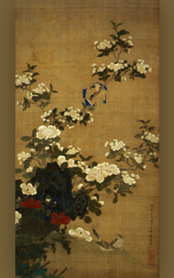 花鳥図（康熙丙戌春日）