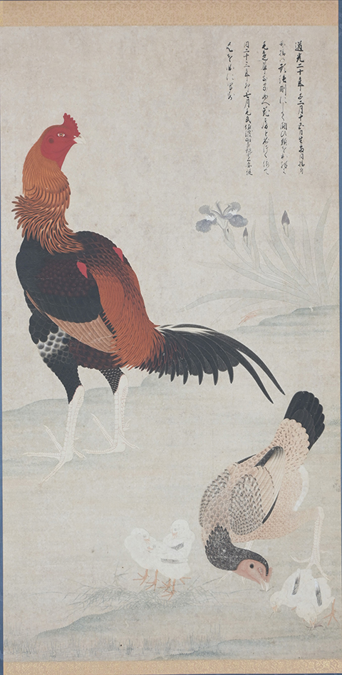 闘鶏図「闘鶏花房之図」（修理後）