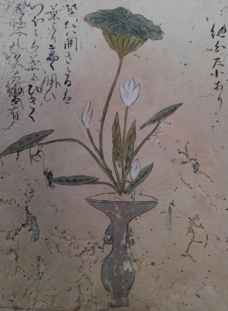 画像 画像