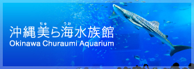 沖縄美ら海水族館