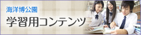 学習用コンテンツ