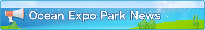 List of News
