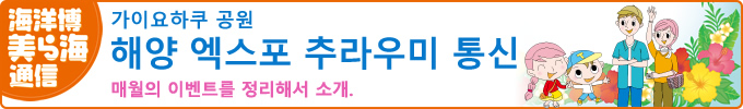 해양 엑스포 추라우미 통신