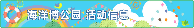 活动信息