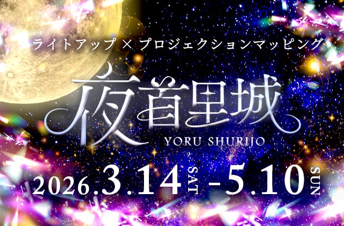 夜首里城 YORU SHURIJO
